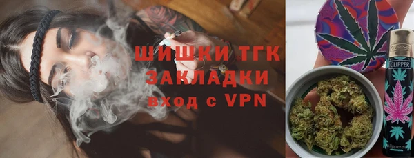 ГАЛЛЮЦИНОГЕННЫЕ ГРИБЫ Баксан