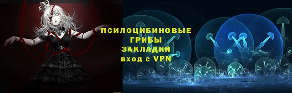 ГАЛЛЮЦИНОГЕННЫЕ ГРИБЫ Баксан