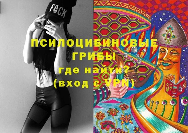 шишки Армянск