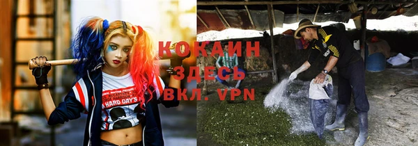 прущие крисы Балахна