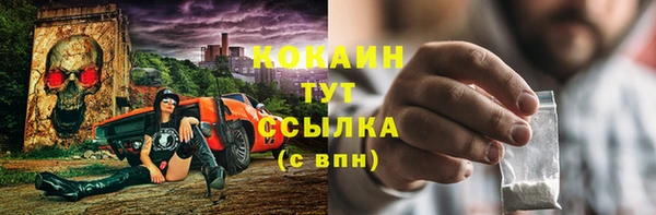 дмт Аркадак