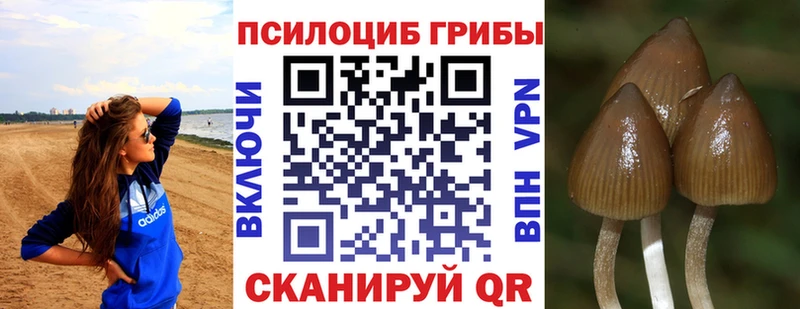 купить   Подпорожье  Галлюциногенные грибы ЛСД 
